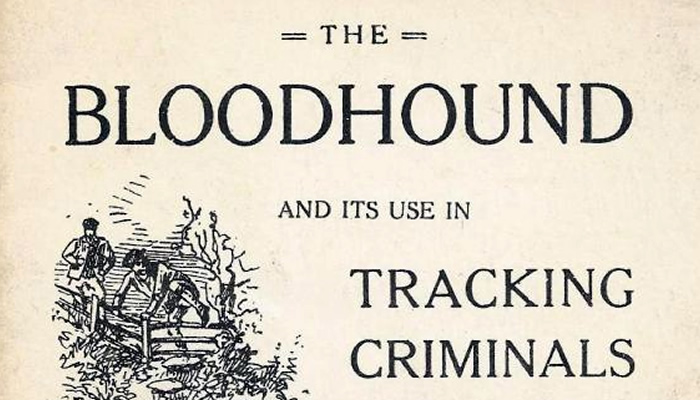 pg-bloodhounds_brough_book